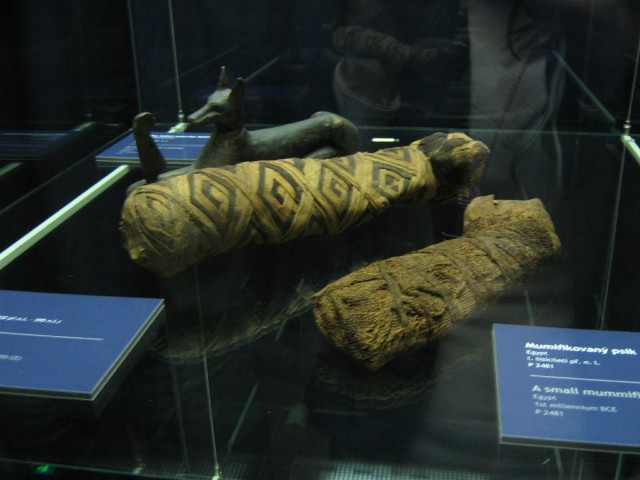 Музей Напрстка (Náprstkovo muzeum) Музей Напрстка (Náprstkovo muzeum)