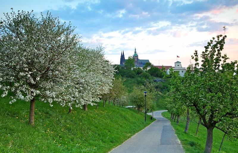 Петршин (Petřín)