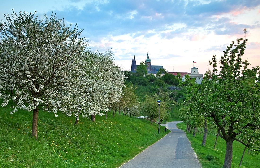 Петршин (Petřín)