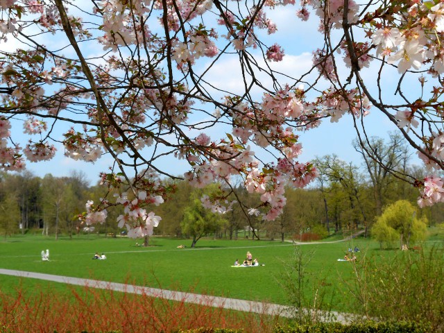 Стромовка (Stromovka)