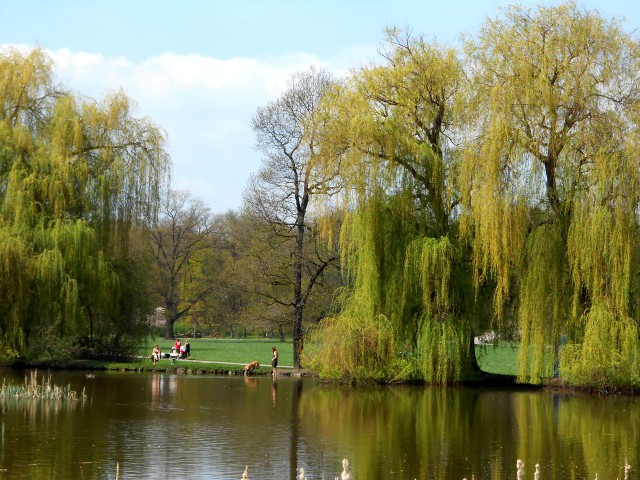 Стромовка (Stromovka)