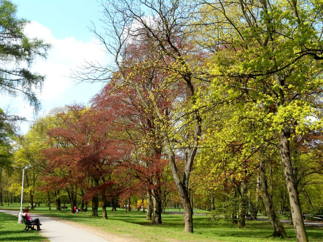 Стромовка (Stromovka)