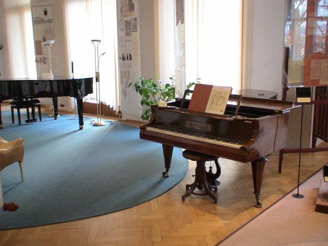 Музей Бедржиха Сметаны (Muzeum Bedřicha Smetany) Музей Бедржиха Сметаны (Muzeum Bedřicha Smetany)