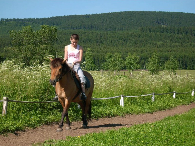 Орлицкие горы (Orlické hory)