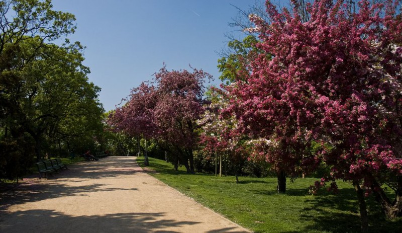 Риегровы сады (Riegrovy sady)