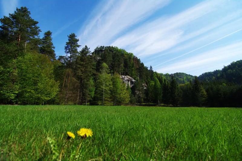 Природа заповедника