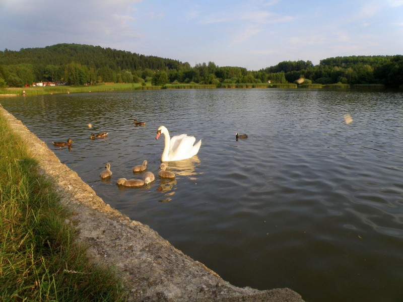 Олешский пруд (Olešský rybník)