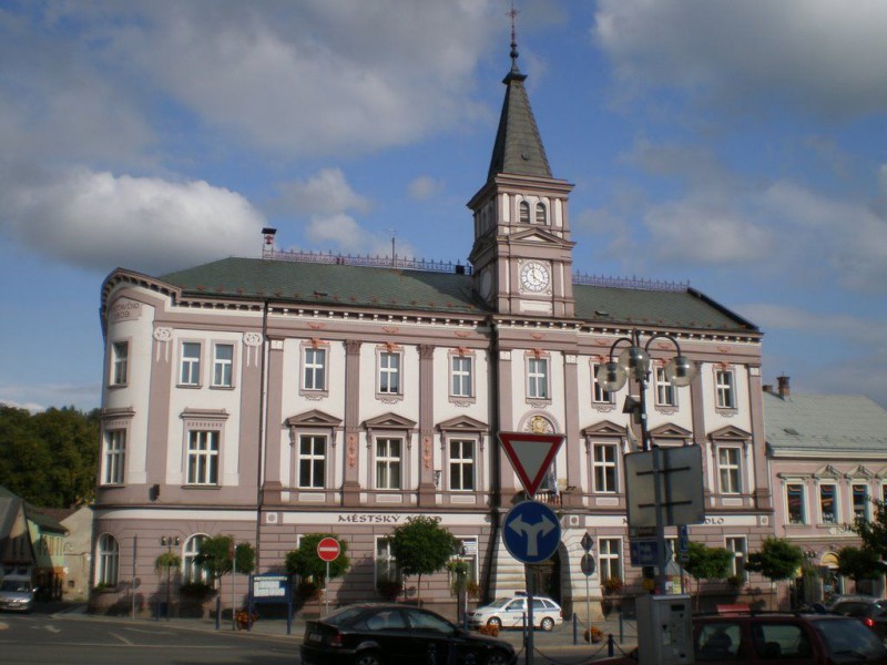 Зданий органов городского самоуправления