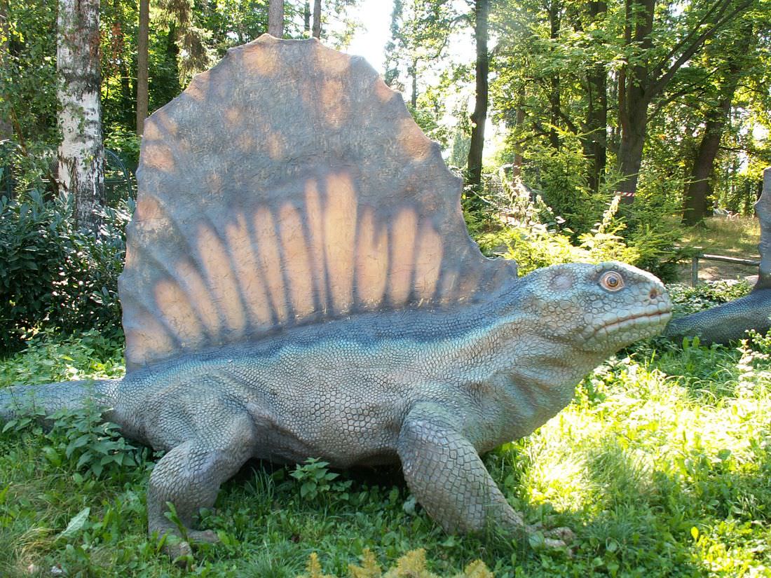 Экспонат