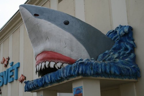 Морской мир (Mořský Svět) Морской мир (Mořský Svět)