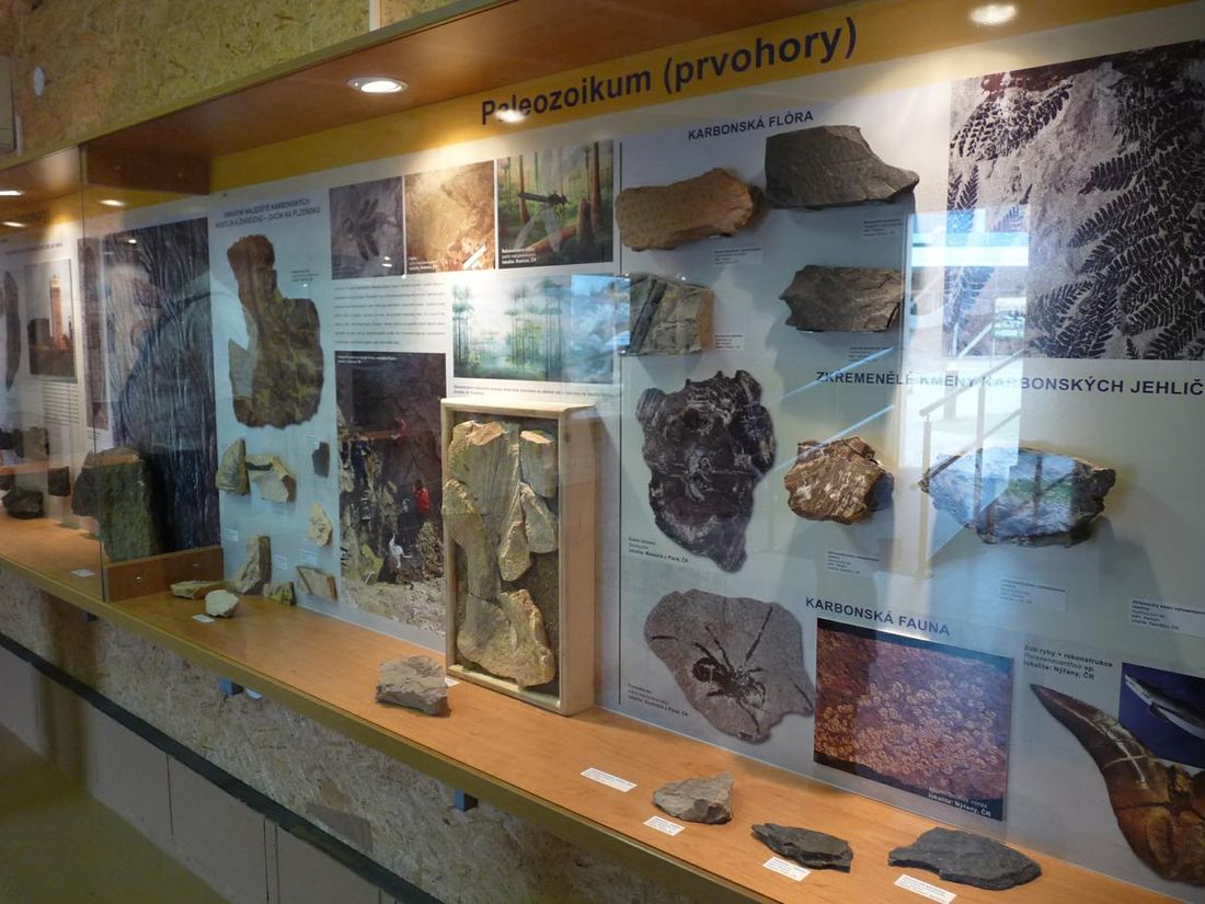 Парк динозавров в Праге (Dinopark Praha)