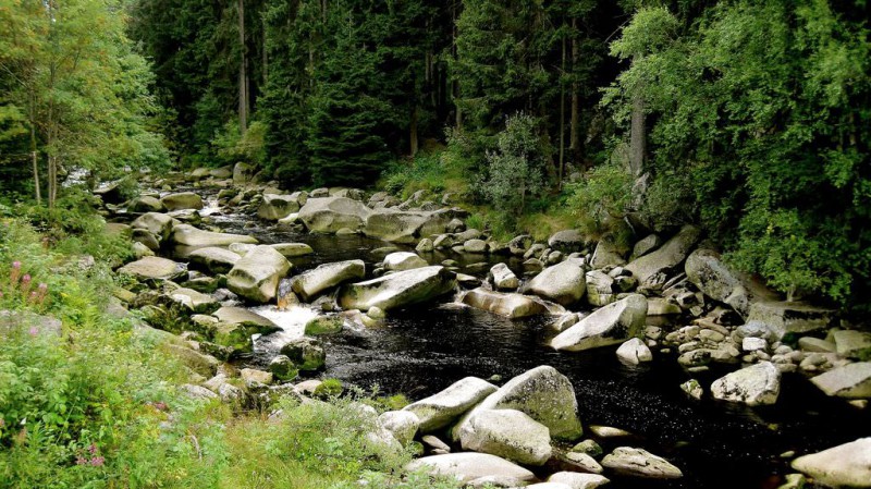 Национальный парк Шумава (Národní park Šumava) Чехия