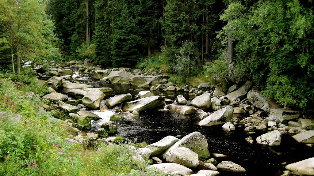 Национальный парк Шумава (Národní park Šumava) Чехия