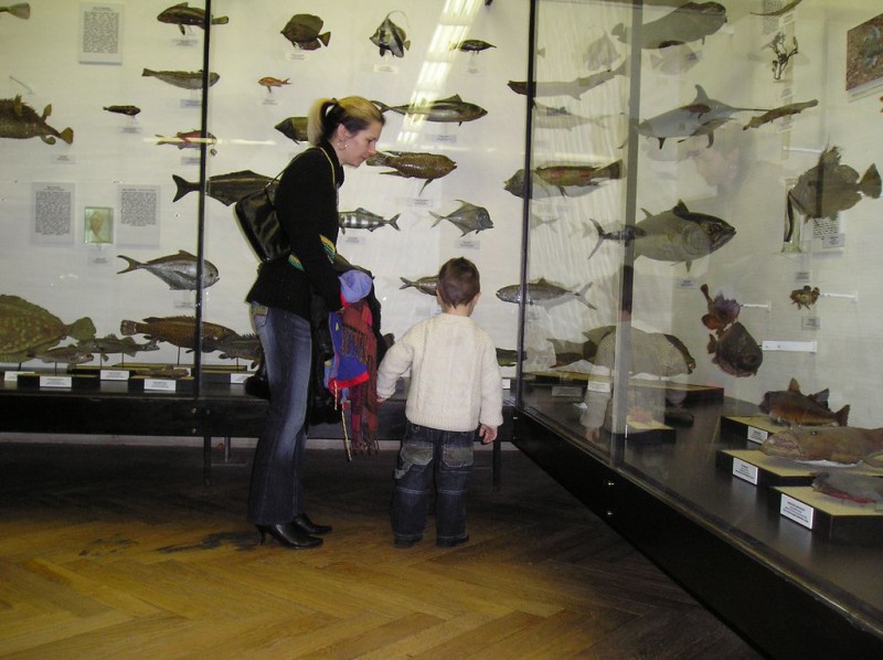 Национальный музей (Národní muzeum)
