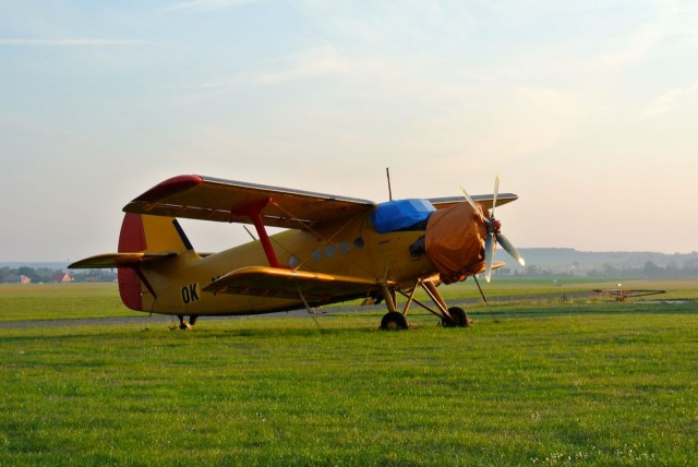 DSC_1003