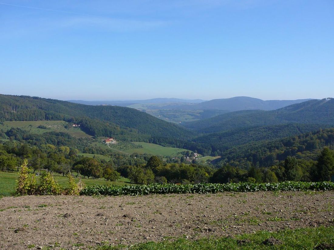 Белые Карпаты (Bílé Karpaty)