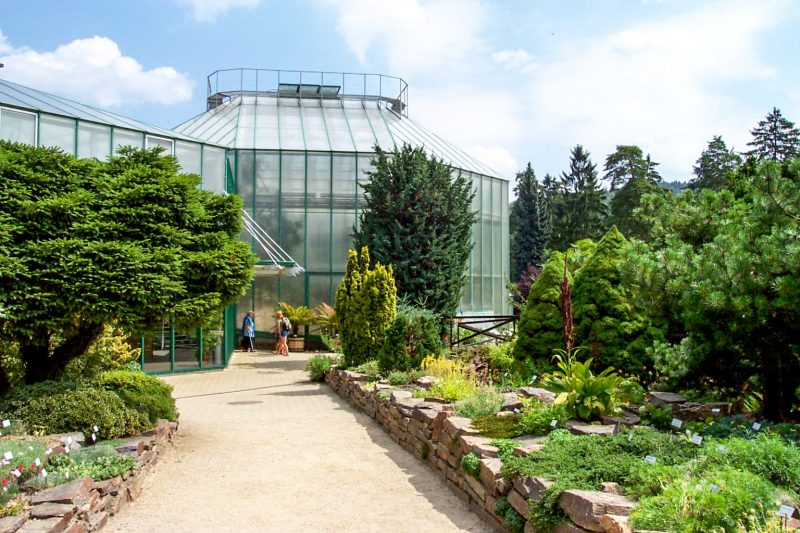 Ботанический сад (Botanická zahrada)