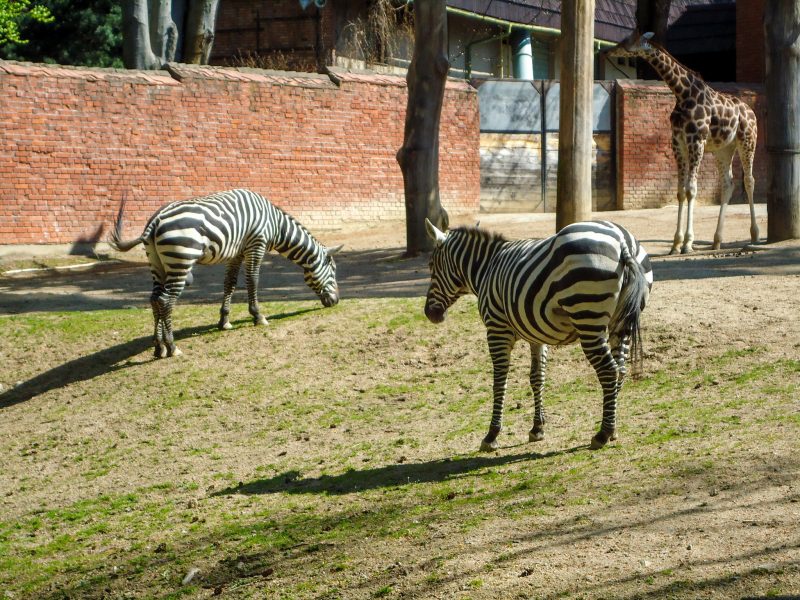 Zoo Liberec