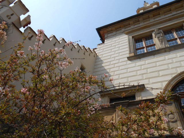 Пругоницкий замок