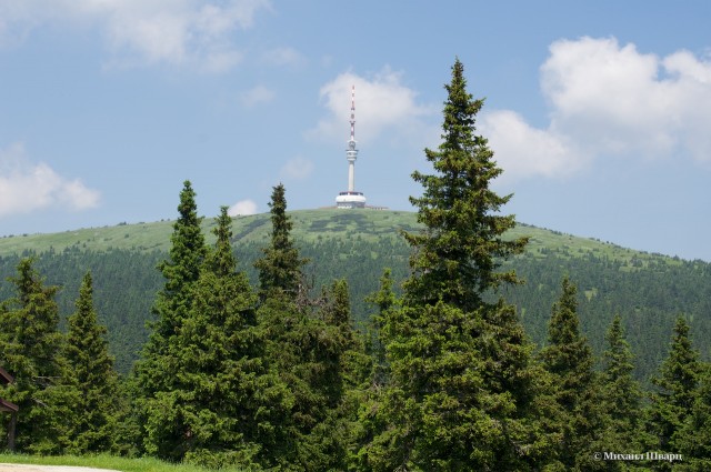 DSC04309