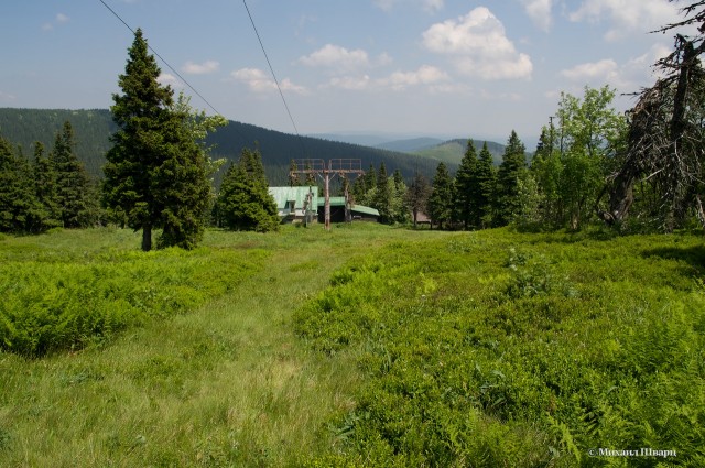 DSC04316