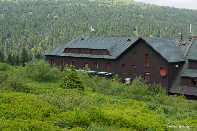 DSC04381