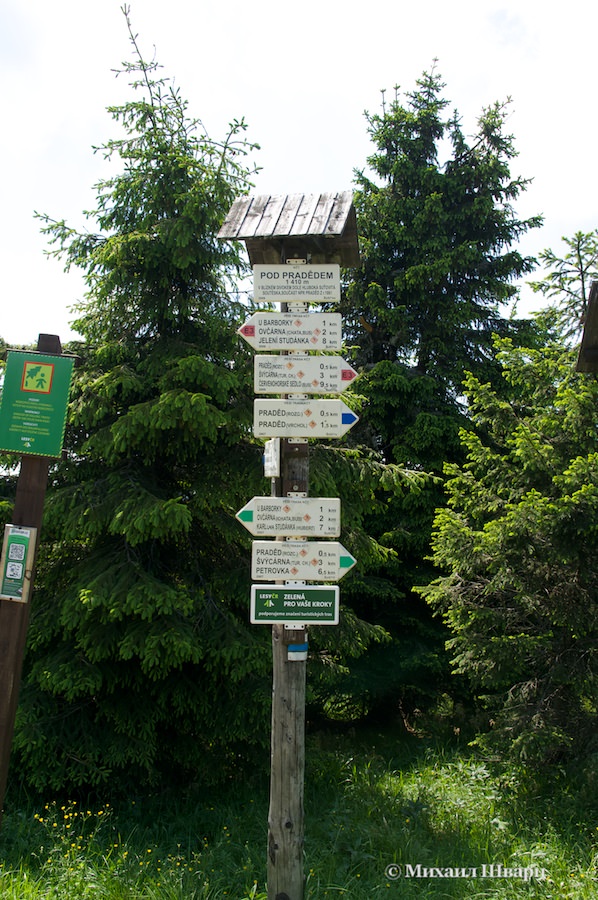DSC04417