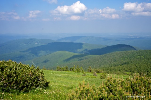 DSC04487