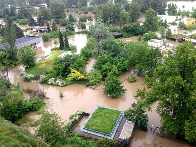 03.06.2013, Пражский зоопарк