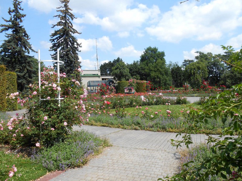 Розарий