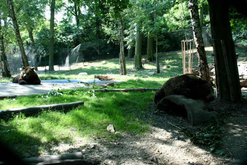 Медведариум (Medvědárium)