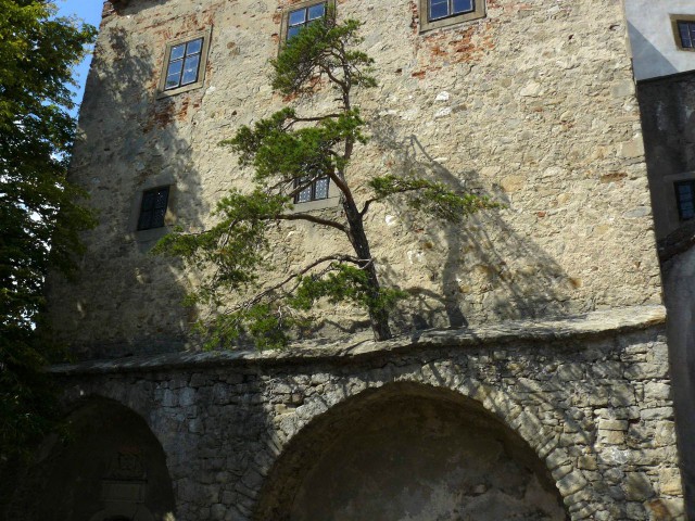 Замок Бухлов (Hrad Buchlov)