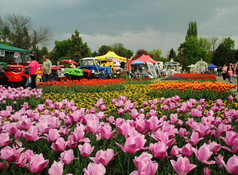 На фестивале Flora Olomouc