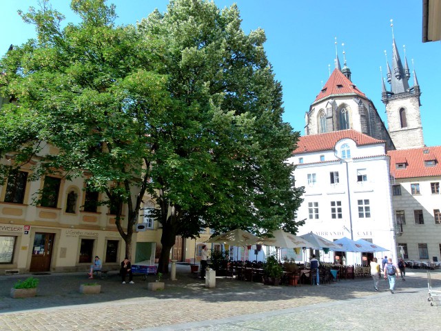 Тынский двор (Týnský dvůr)