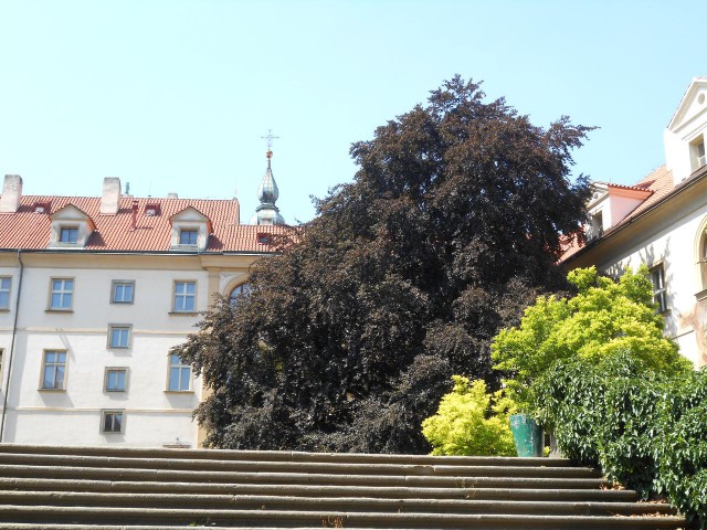 Монастырь босых кармелиток (Klášter bosých karmelitánek)