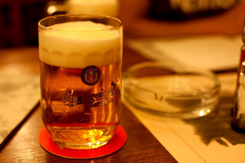 пиво Budvar