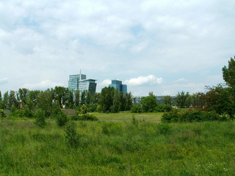 Роганский остров (Rohanský ostrov)