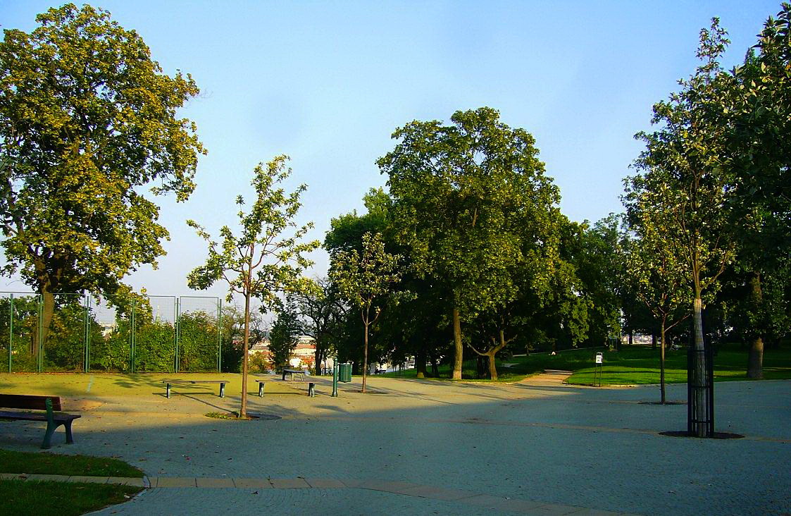 В парке