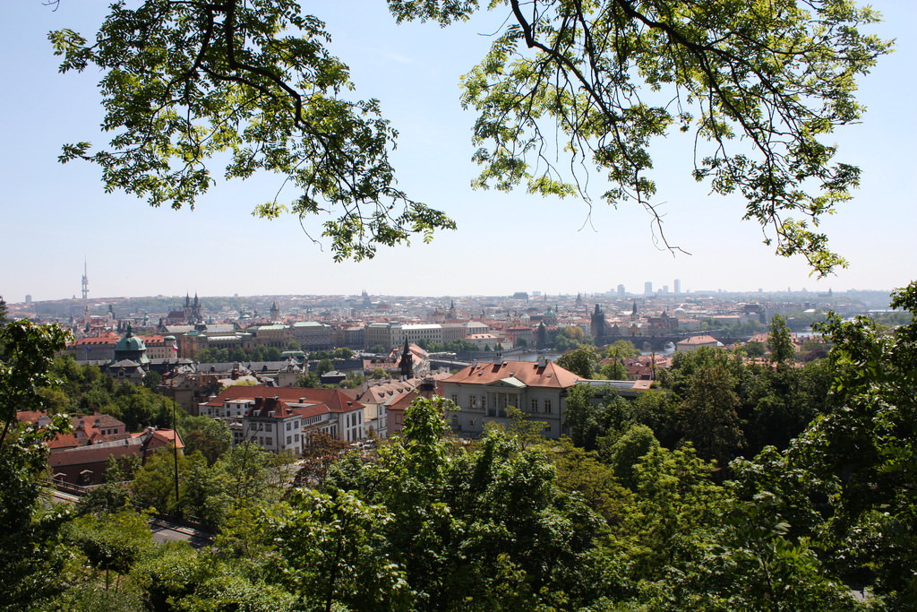 Панорама города